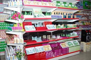金正恩关注化妆品研发 干细胞与天然原料引领产业升级